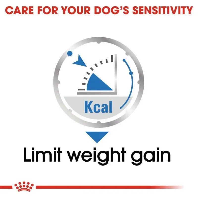 Infographic showing calorie control to help limit weight gain in dogs.