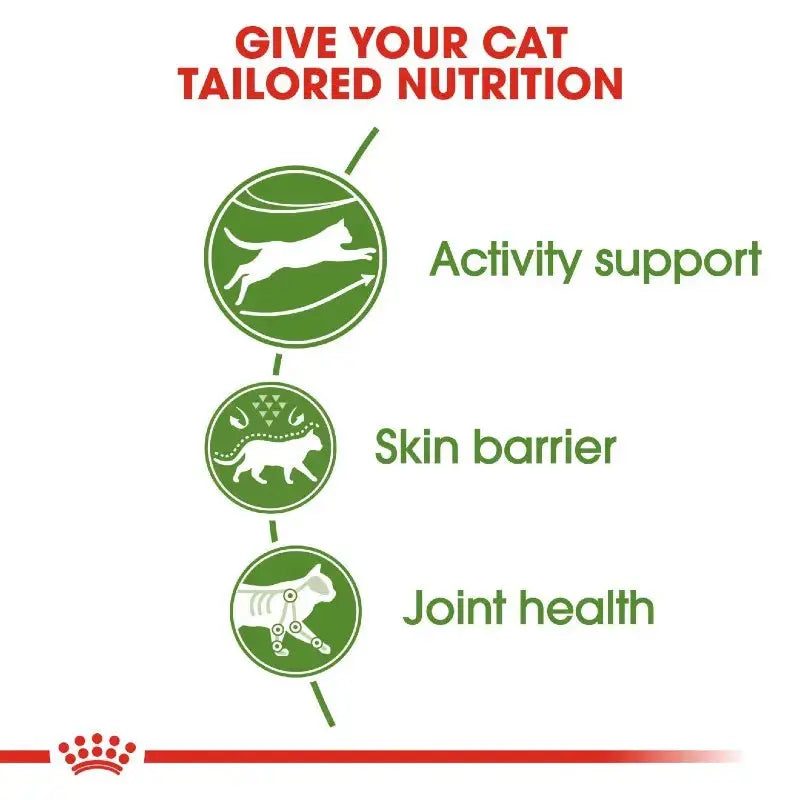 Infographic highlighting tailored nutrition benefits for cats: activity support, skin barrier, and joint health.