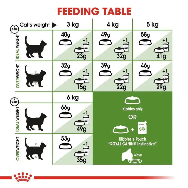 Cat feeding table infographic showing recommended kibble portions based on weight and feeding guidelines.