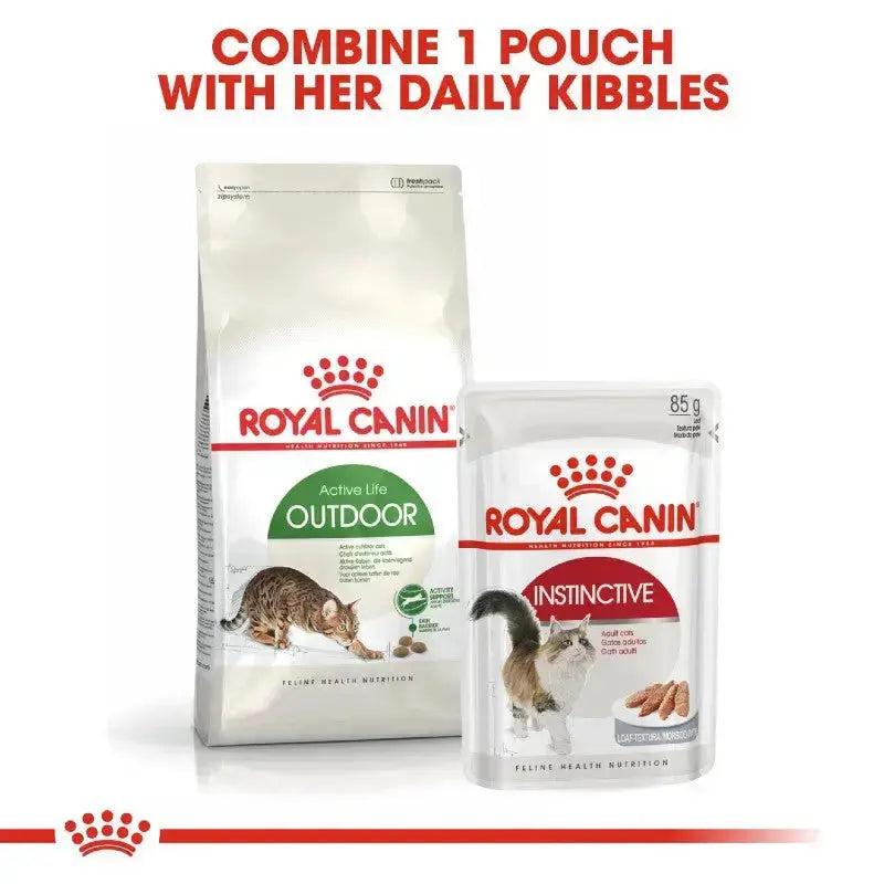 Royal Canin cat food packaging featuring Outdoor and Instinctive pouches for optimal feline nutrition.