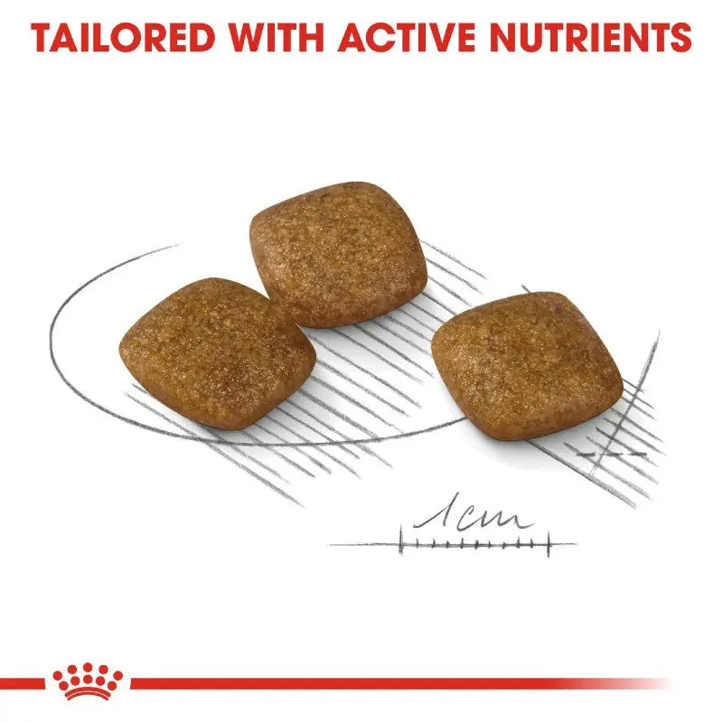 Active nutrient-rich pet food bites designed for optimal health and nutrition.