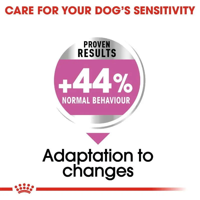 Infographic showing 44% improvement in normal behavior for dogs adapting to changes.