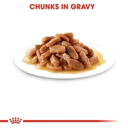 Tender chunks in gravy served on a white plate, perfect for a hearty meal.