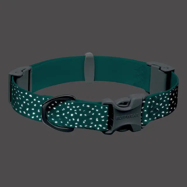 Reflective dog collar in teal with adjustable buckle for safety and comfort during walks.