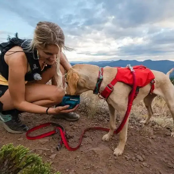 Woman hiking with a dog, using a portable water bowl in a scenic outdoor setting.