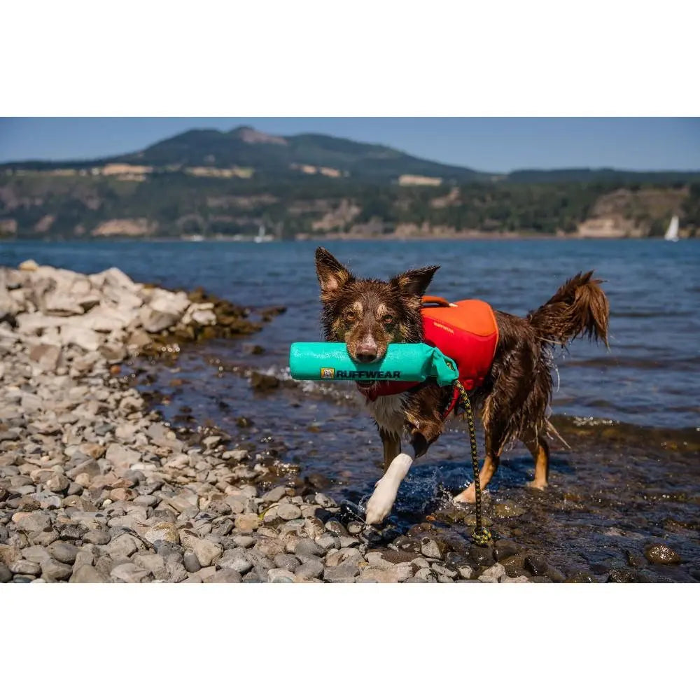 Dog wearing a life jacket, playing by the water with a buoy in its mouth.