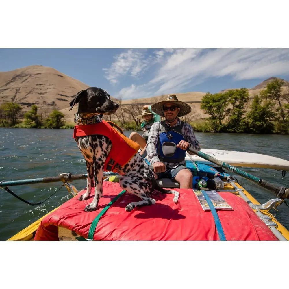 Dog in a life jacket enjoying a river adventure with its owner on a raft.