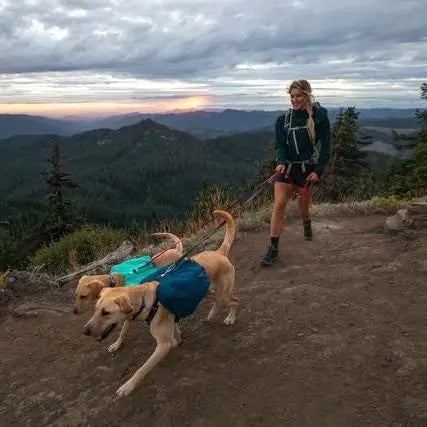 Hiker with two dogs in backpacks on a scenic mountain trail at sunset.