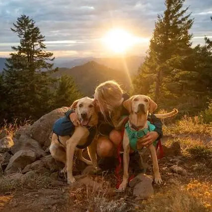 Person hugging two dogs at sunset in a scenic mountain landscape.