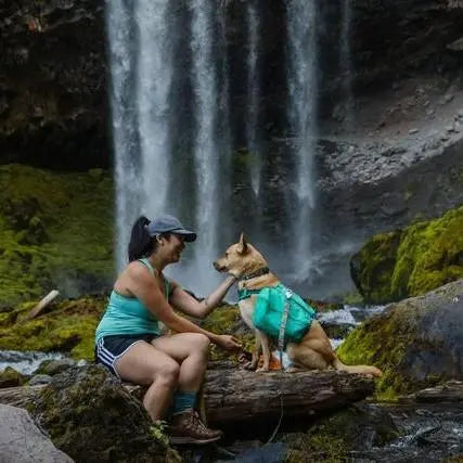 Woman and dog enjoy nature by a waterfall, showcasing outdoor adventure and pet bonding.