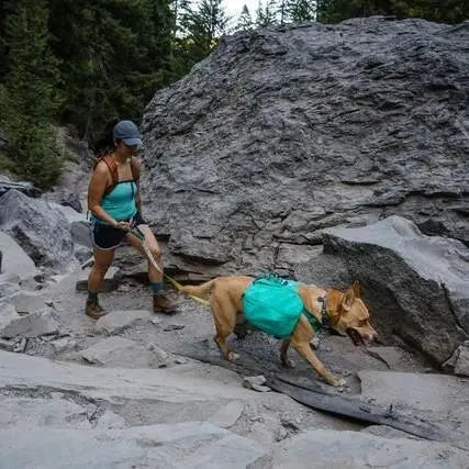 Woman hiking with a dog wearing a backpack in a rocky outdoor setting.