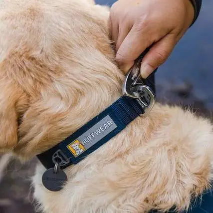 Dog collar with leash attachment, featuring Ruffwear branding and a secure fit for outdoor adventures.