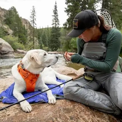 Dog enjoying a treat by a river with its owner in a scenic outdoor setting.