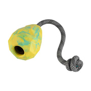 Colorful dog toy with a textured ball and durable rope for interactive play and chewing.