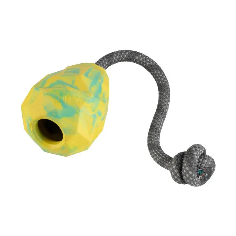 Colorful dog toy with a textured ball and durable rope for interactive play and chewing.