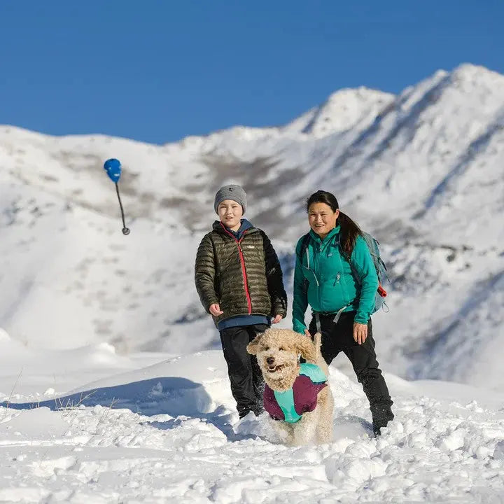 Family enjoying a snowy mountain hike with a playful dog in winter gear.