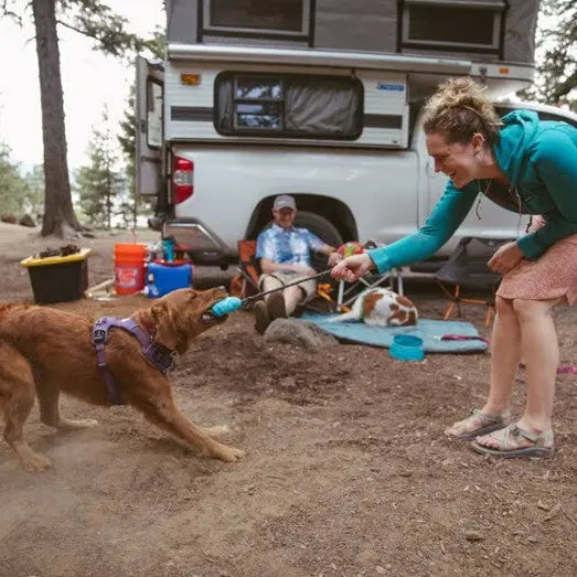 Woman playing with a dog at a campsite, enjoying outdoor fun and bonding in nature.