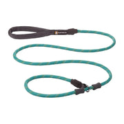 Durable dog leash in teal and gray, perfect for outdoor adventures and training.