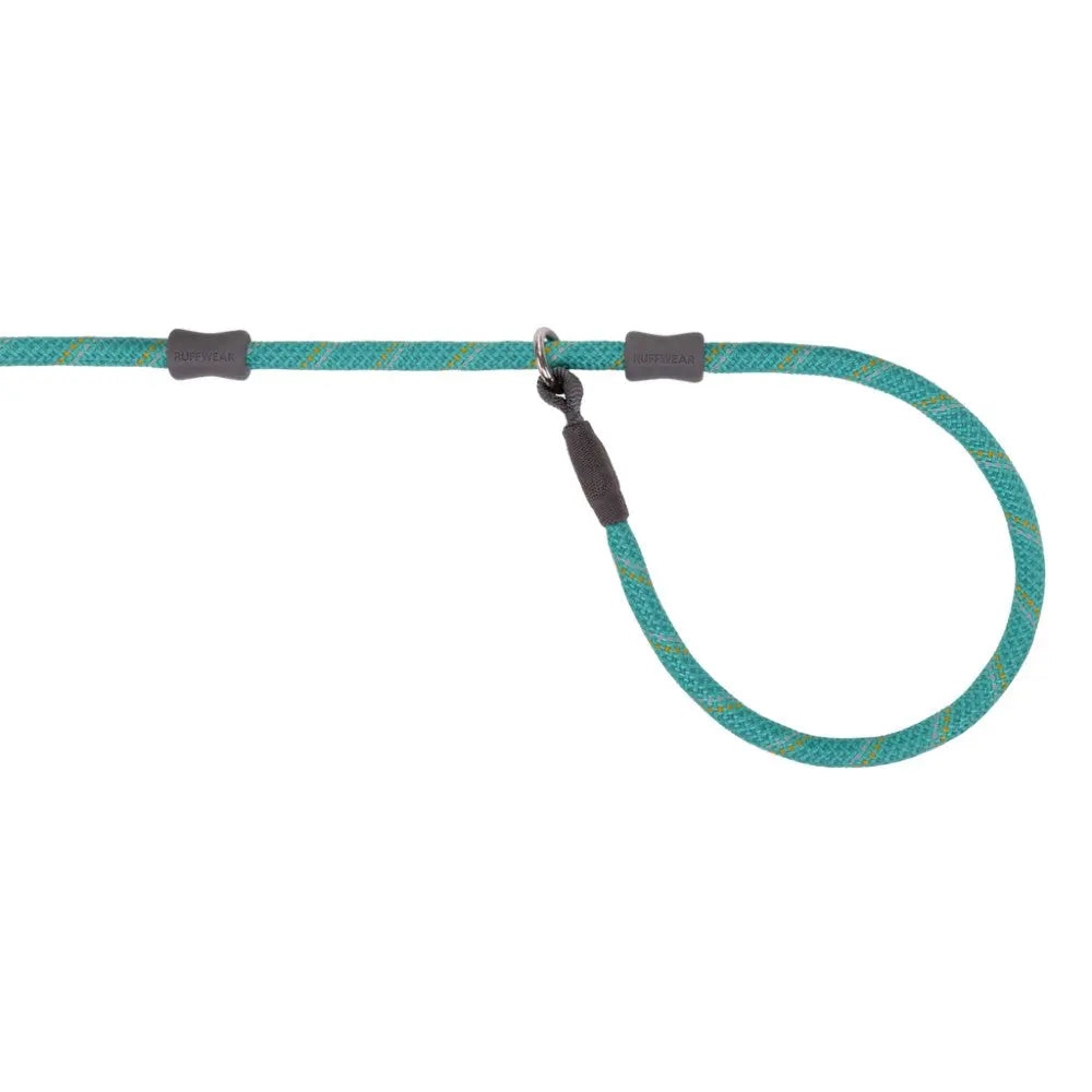 Durable teal dog leash with ergonomic grip and sturdy clip for secure walks.