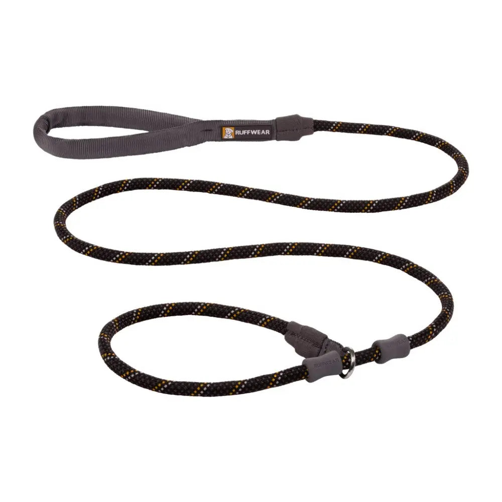 Durable dog leash with reflective stitching for safety during walks.