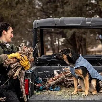 Person loading firewood into a truck with a dog wearing a coat sitting nearby.