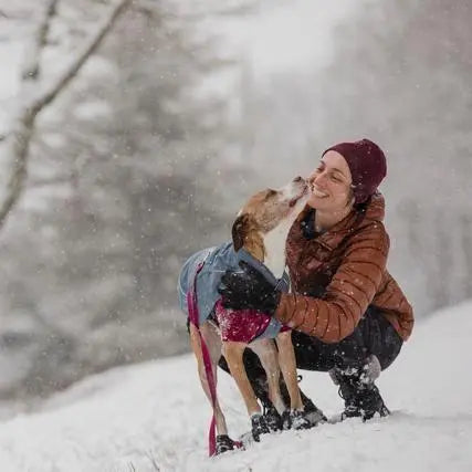 Woman and dog play in the snow, showcasing a joyful winter adventure together.