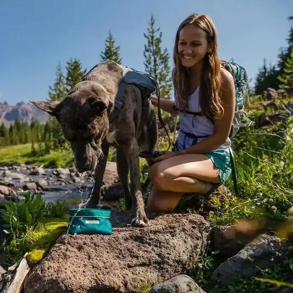 Woman hiking with dog by a stream, using a portable water bowl for hydration in nature.