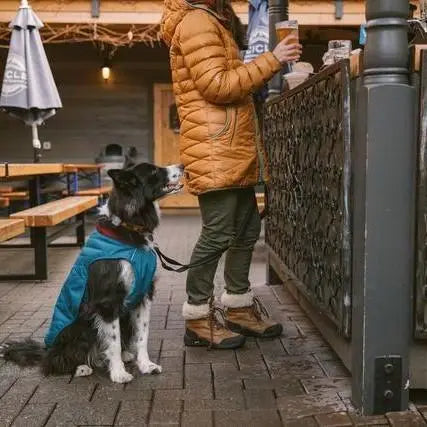 Dog in a blue jacket waiting patiently by a person at an outdoor café.
