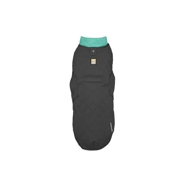 Stylish black dog jacket with teal collar, perfect for keeping pets warm and comfortable.