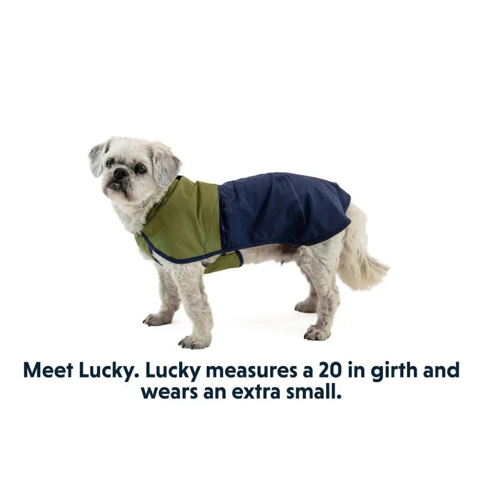 Dog in a stylish coat, showcasing a 20-inch girth and extra small size for pet fashion.