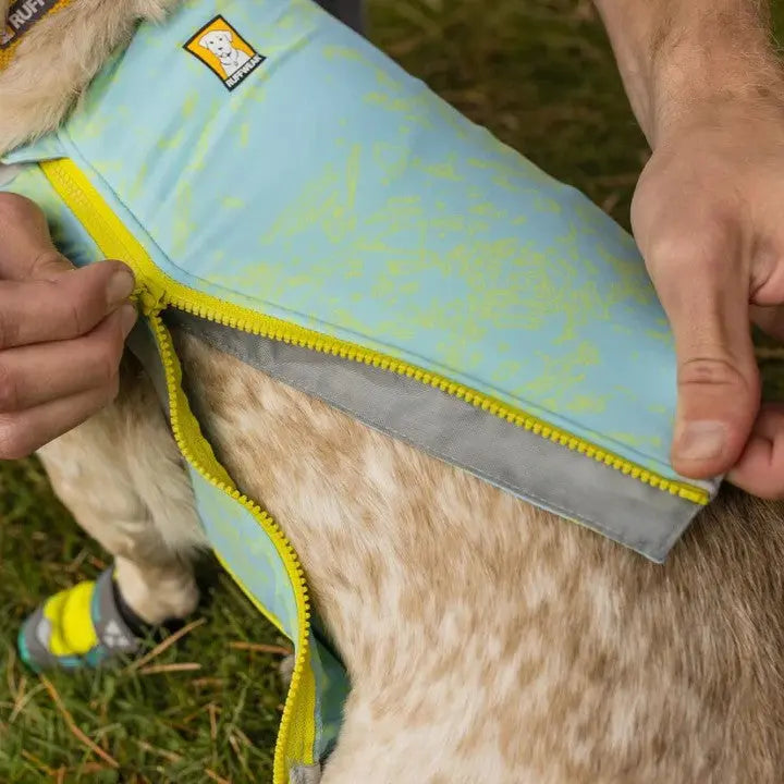 Dog jacket with zipper, designed for comfort and protection during outdoor activities.