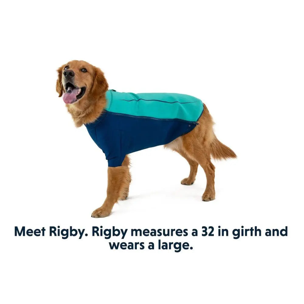 Golden retriever Rigby in a blue and teal dog coat, showcasing size and style for pet fashion.