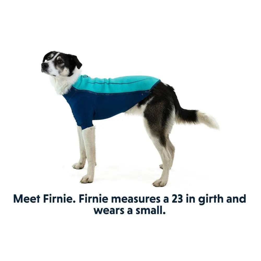Dog in a blue coat, showcasing size small, perfect for stylish pet protection.