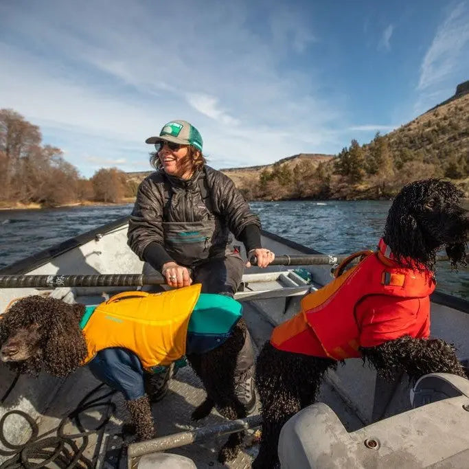 Person in a boat with two dogs in life jackets enjoying a scenic river adventure.