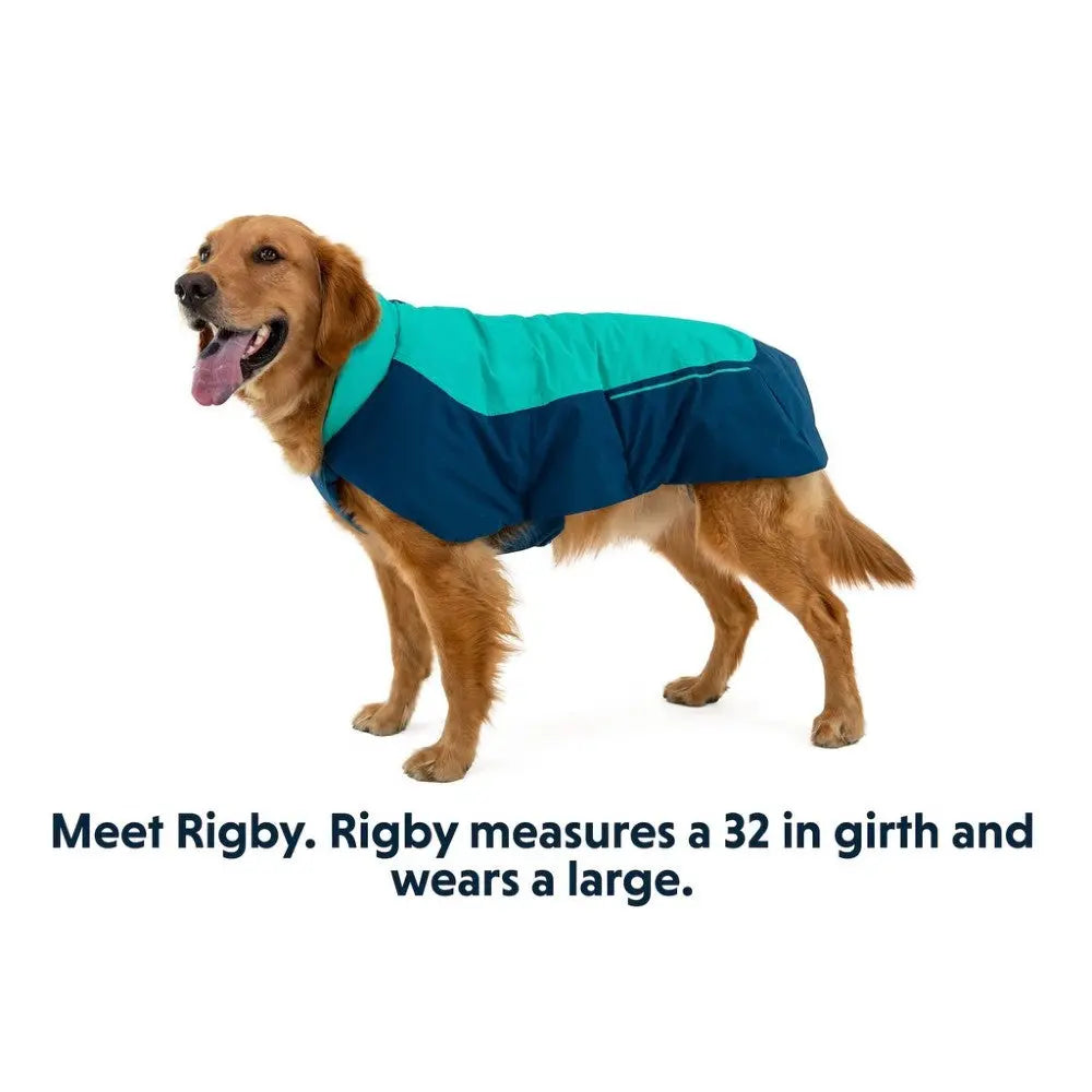 Golden retriever wearing a blue and green dog coat, showcasing size and style for pet owners.