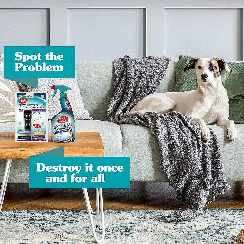 Dog sitting on a couch with cleaning products for pet stain removal displayed nearby.
