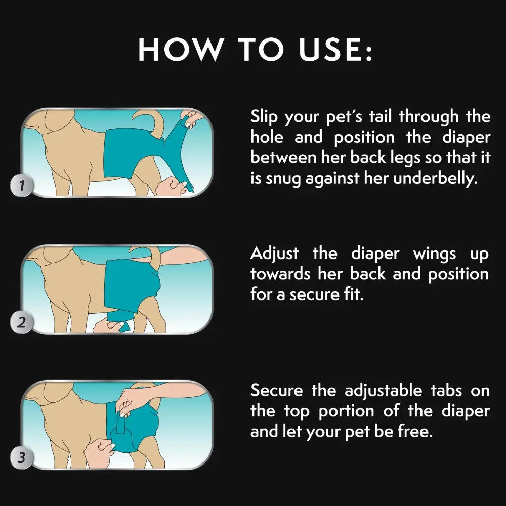 Diaper usage guide for pets, illustrating steps for a secure and comfortable fit.