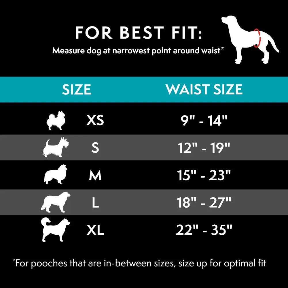 Dog size chart for waist measurements, showing XS to XL sizes for optimal fit.
