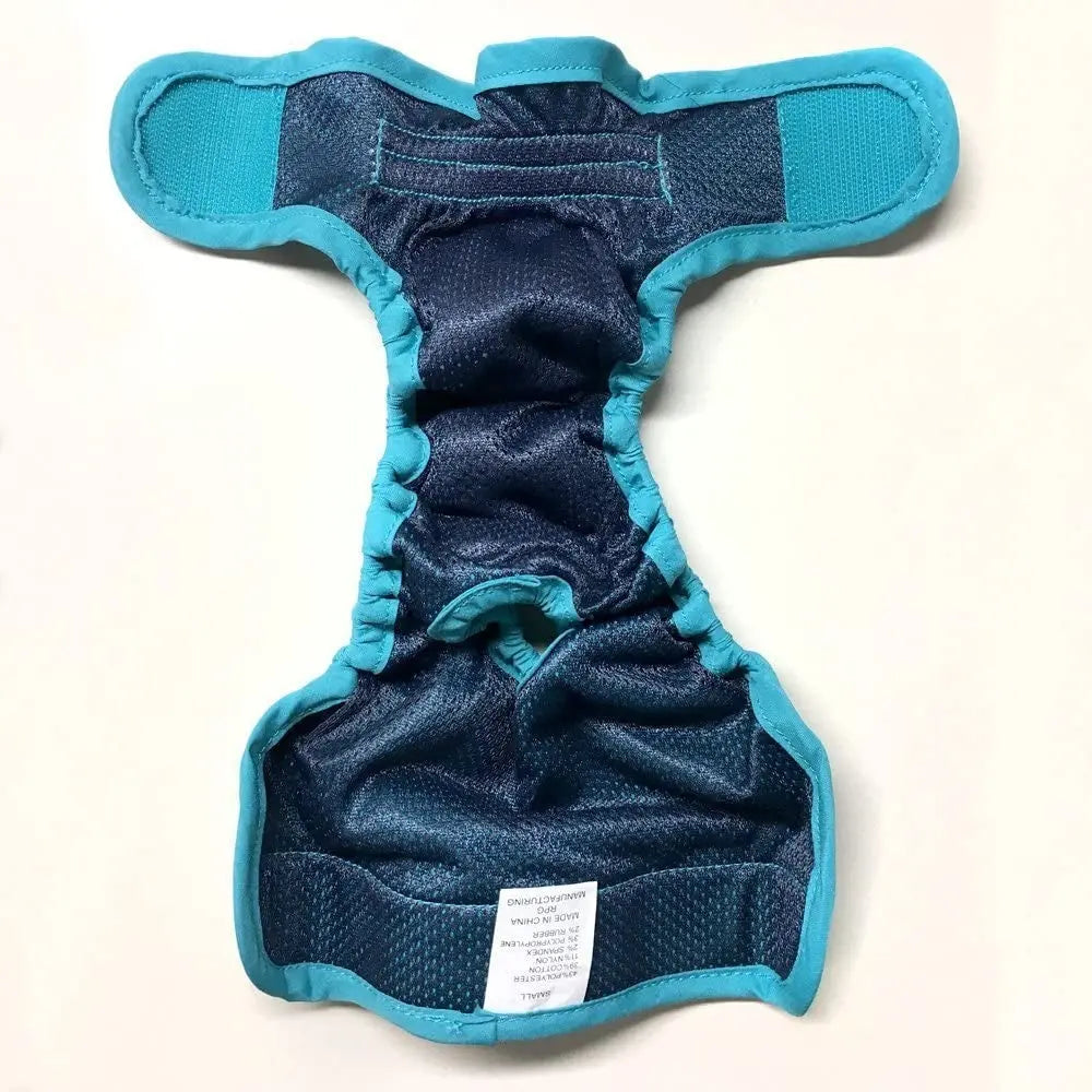 Dog harness in teal color, featuring a comfortable design and adjustable straps for a secure fit.