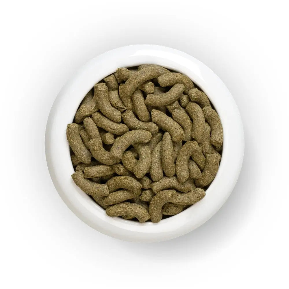 Bowl of dry cat food pellets, showcasing nutritious ingredients for feline health.