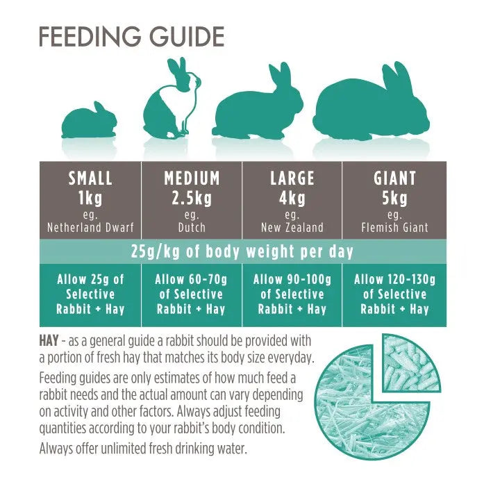 Infographic feeding guide for rabbits, detailing daily food portions by size category.