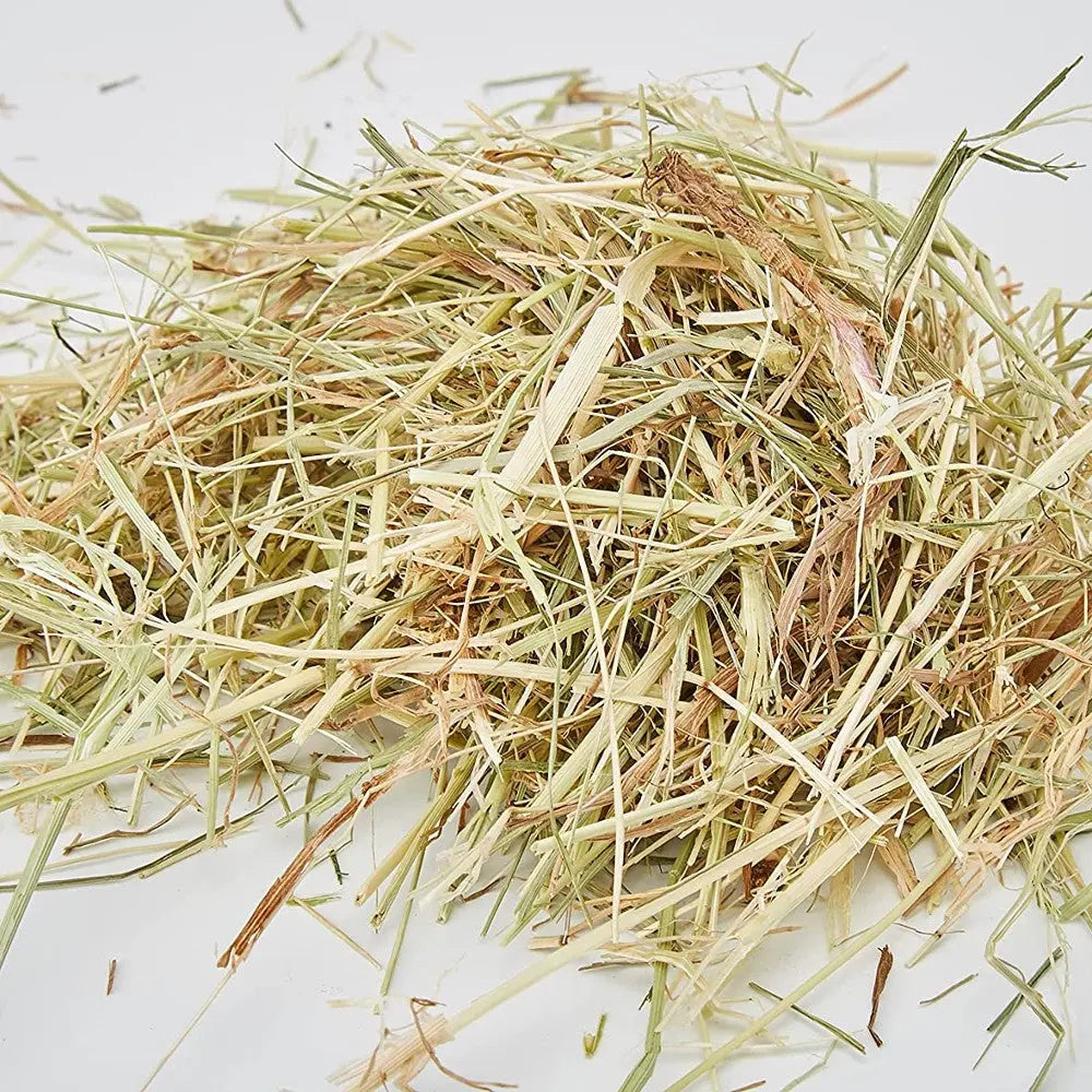 Dried grass hay pile, ideal for animal bedding or feeding, showcasing natural fibers and texture.