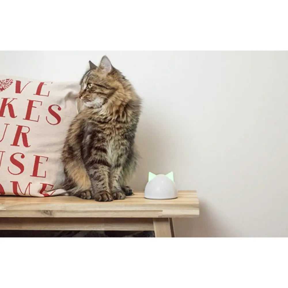 Cat sitting on a wooden table next to a glowing cat-shaped device and a decorative pillow.