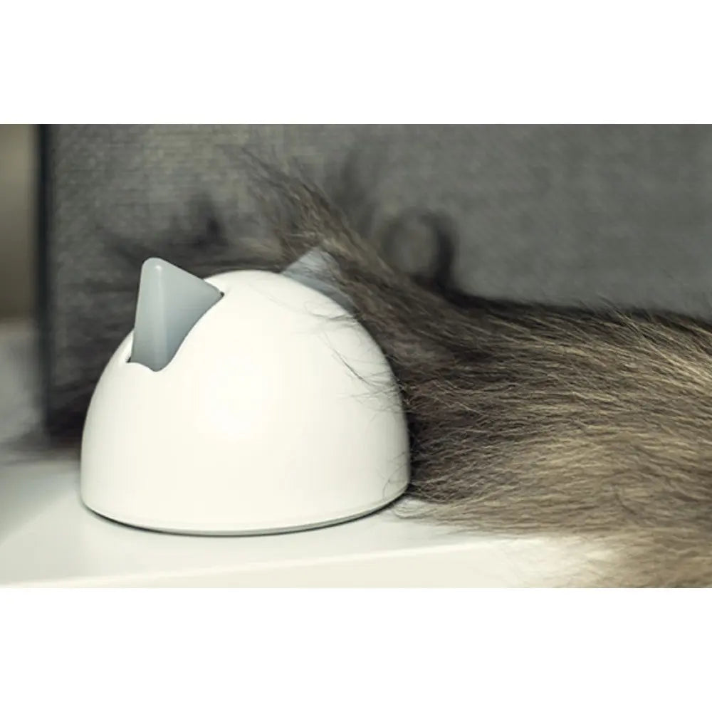 Cat grooming tool with a sleek design, perfect for removing loose fur and keeping your pet tidy.