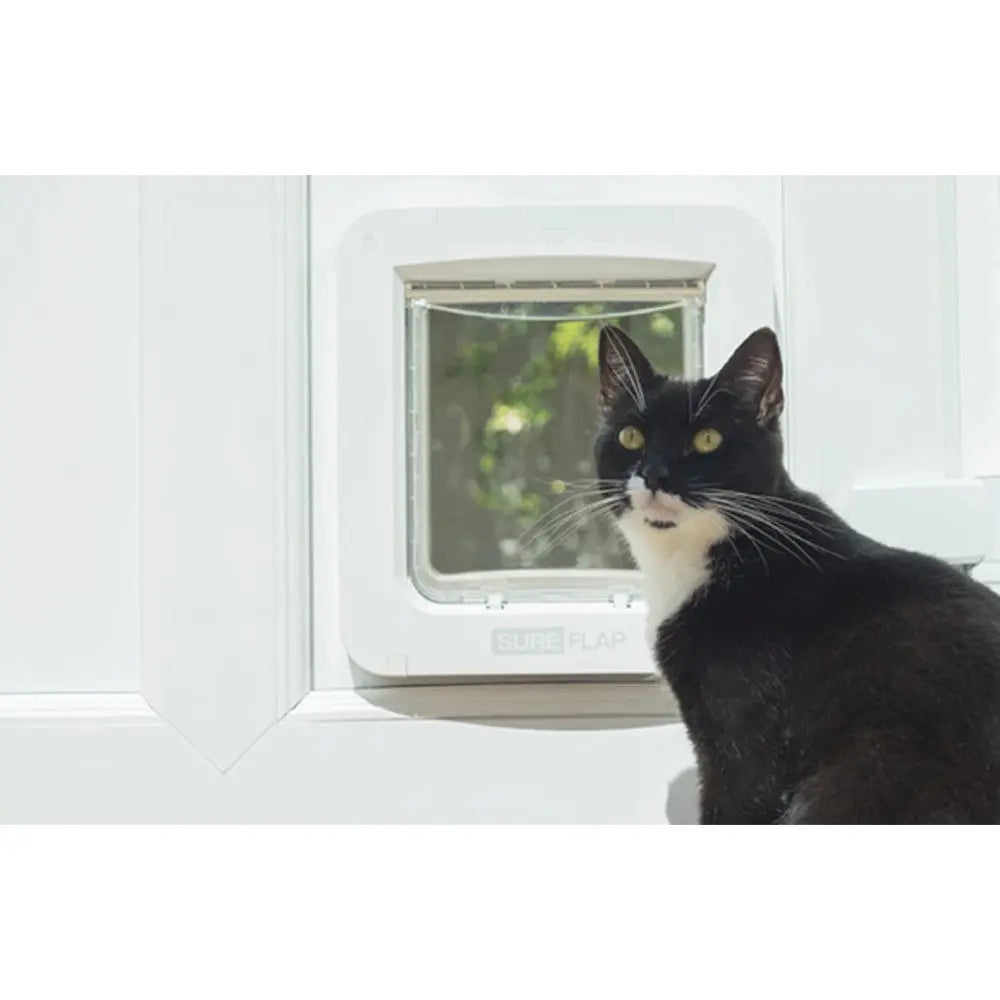 Sureflap Pet Door Connect | Buy Pet Doors Online – Canine & Co