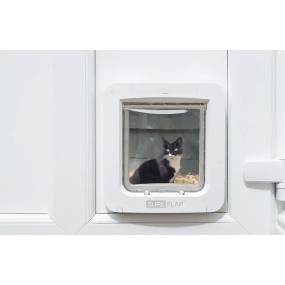 Cat using a SureFlap pet door, providing easy access for outdoor exploration.