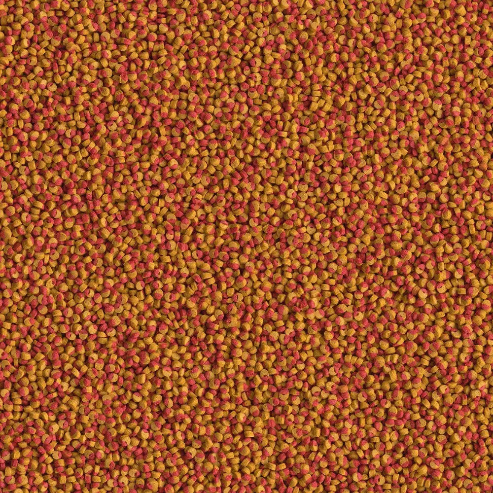 Colorful pet food pellets in a vibrant mix of yellow and red, ideal for nutritious feeding.