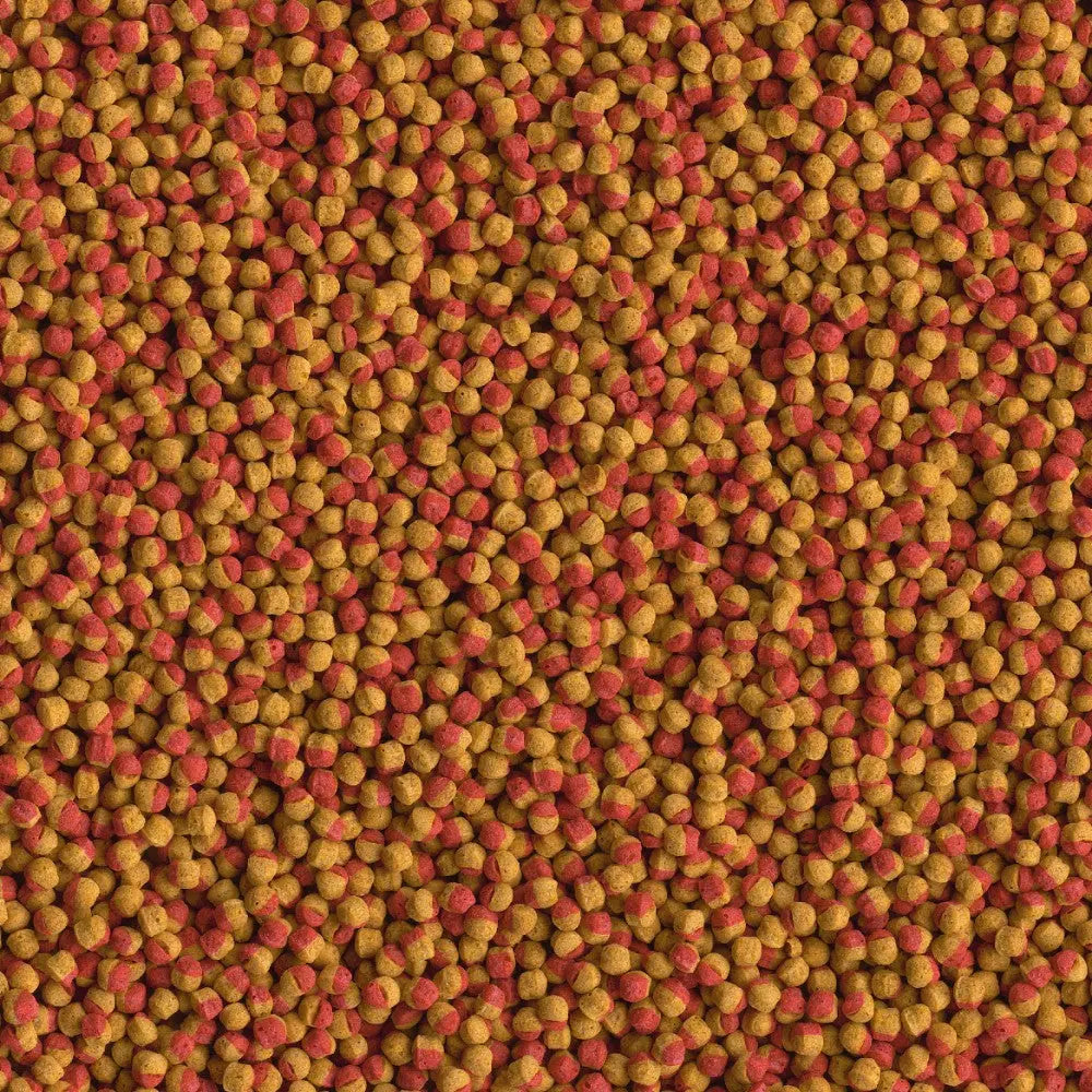 Colorful pet food kibble mix, featuring red and yellow pellets for balanced nutrition.