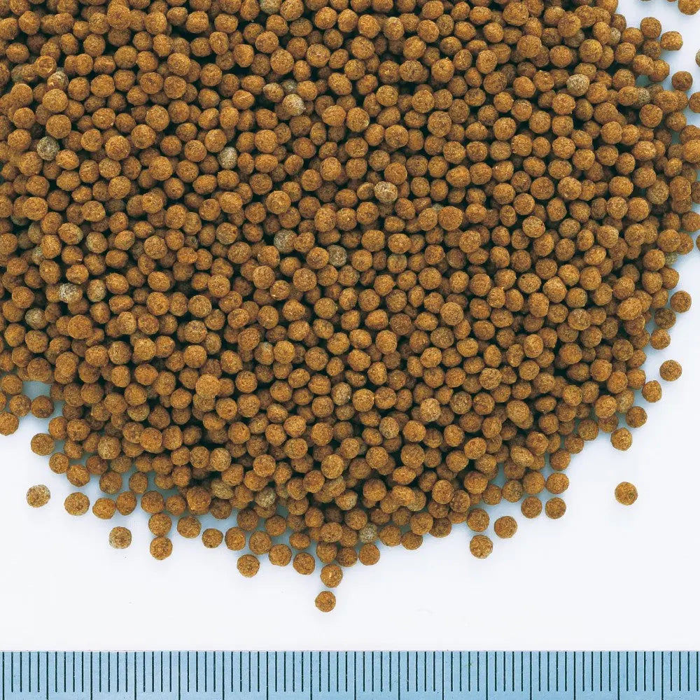 Brown granules of fish food, ideal for aquariums and promoting healthy fish growth.