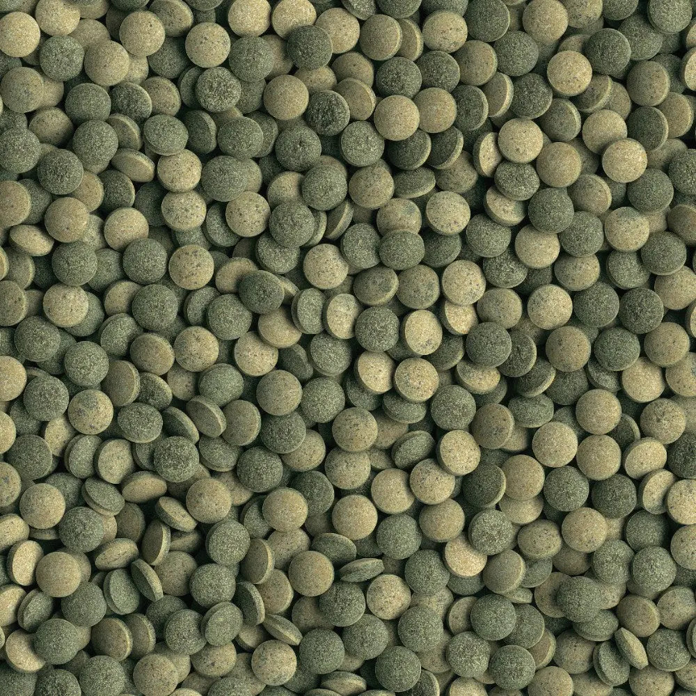 Green circular pet food pellets scattered on a surface, showcasing texture and color.